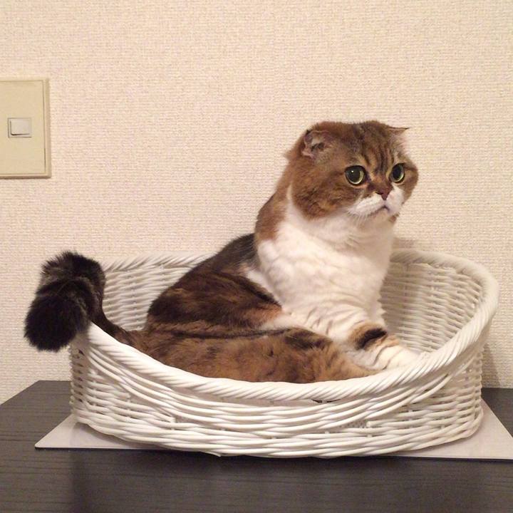 1588c444 a121 423b 9d67 47ee8365346f