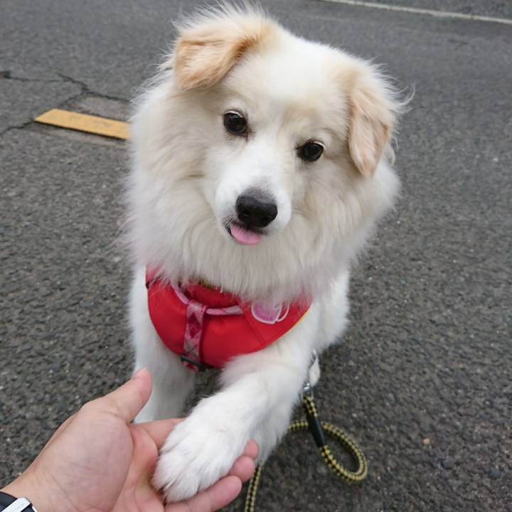 15894d3b 0140 4970 aea6 efce04f51cc0