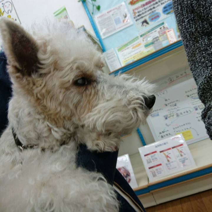 158952c1 c87a 42ef a191 38626154f559