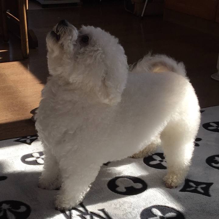 15895622 17be 4eaa b0f5 aed40fa04412