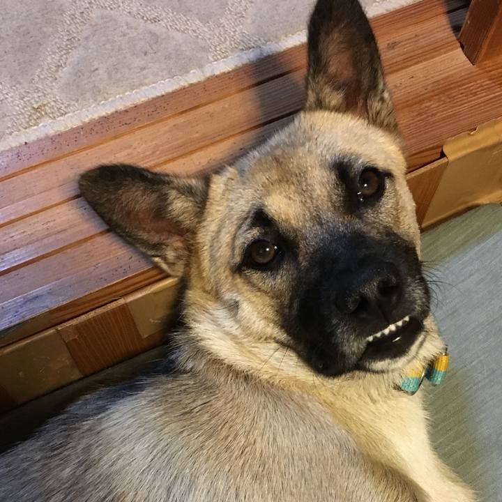 1589d107 8232 4882 ab41 ba44fe111879