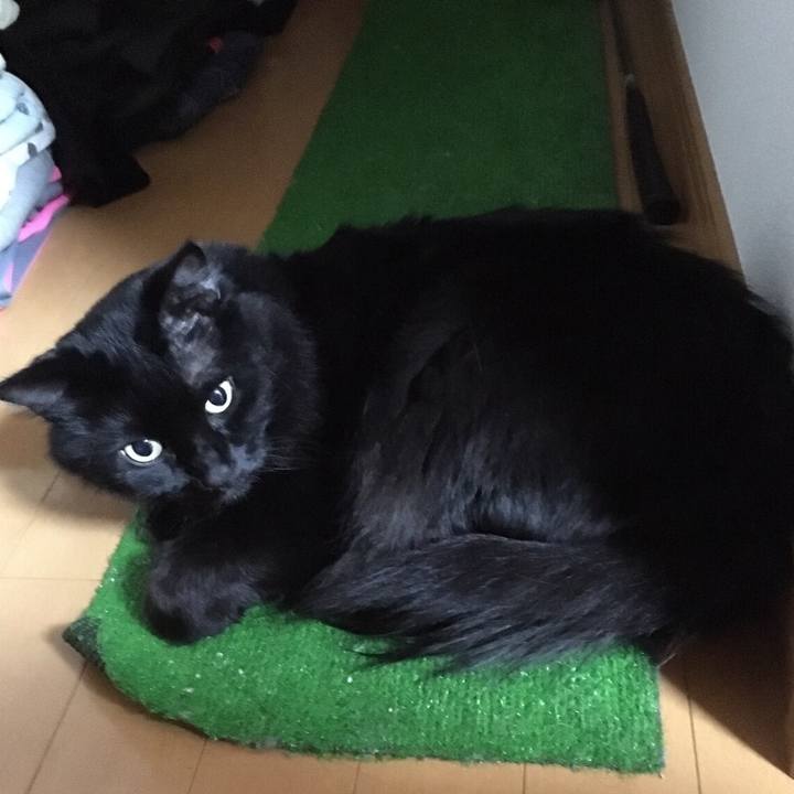 158a44be de08 44fc 8c6a 620aea82012f