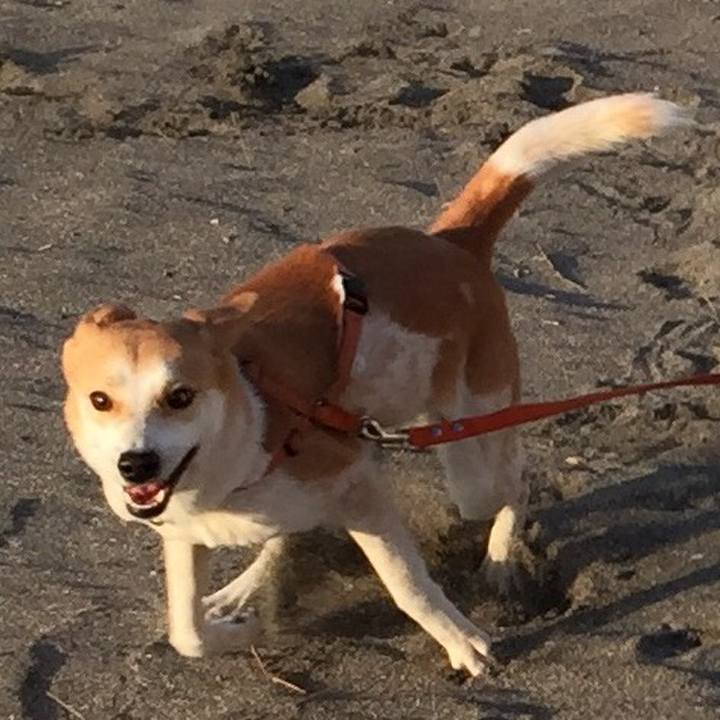 158a7191 a83e 45f6 828a 05c43b90db1e