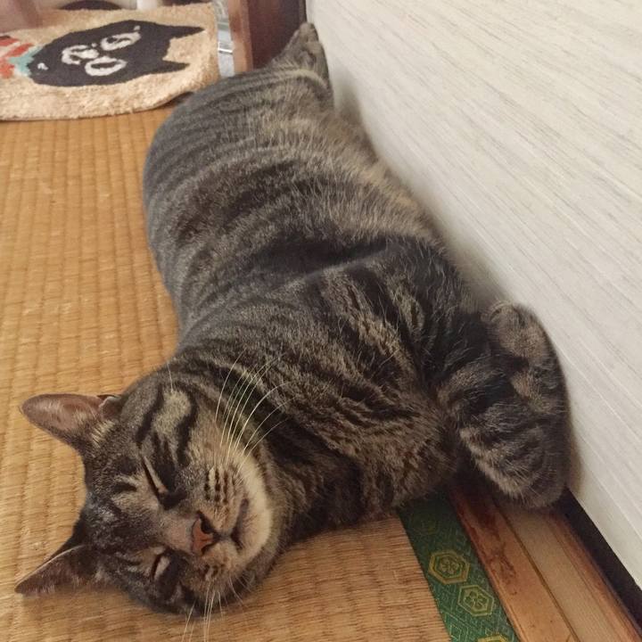 158a9ea7 abe3 48cf aaa4 8839bc4e0829