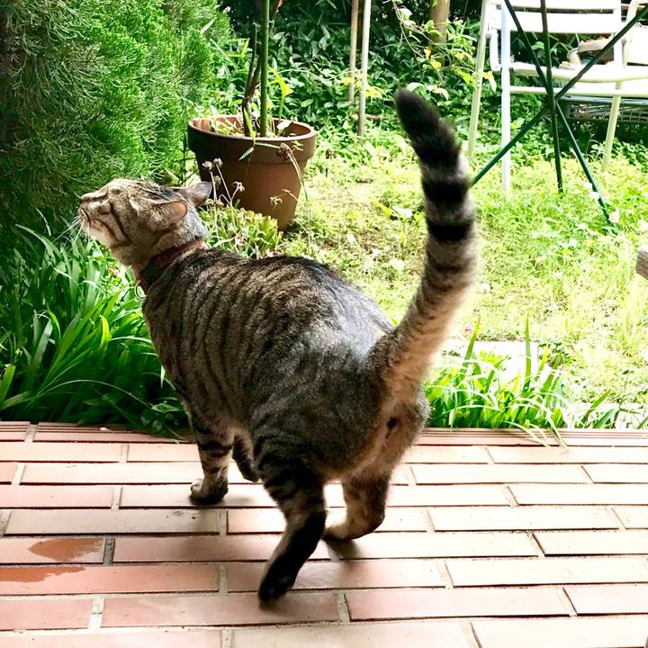 158b1aed 2be5 456f 810a e45c7851d78c