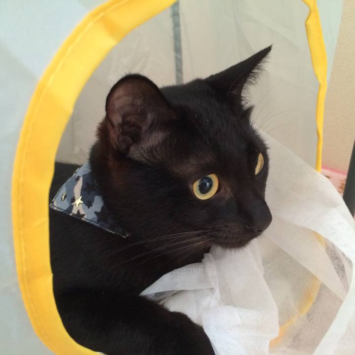 158bd762 7add 4772 b4ba 45273f26f245