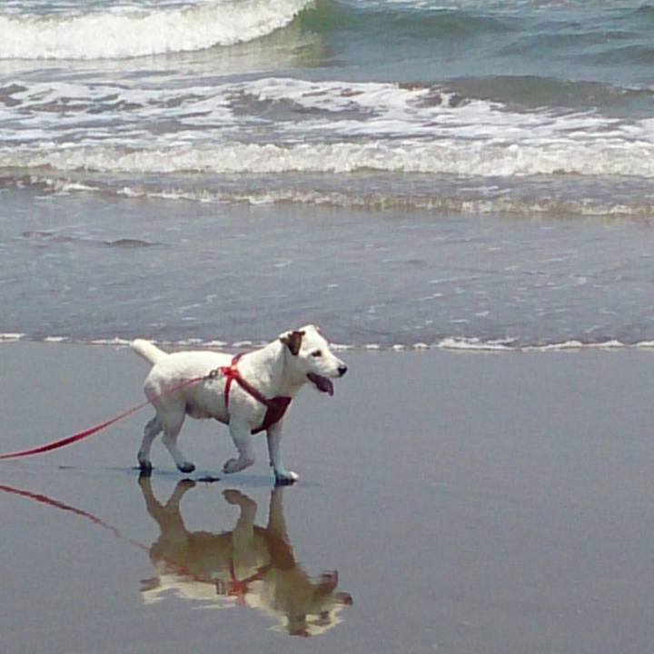 158c665f 3d40 407c 8702 11db73b0aa9b