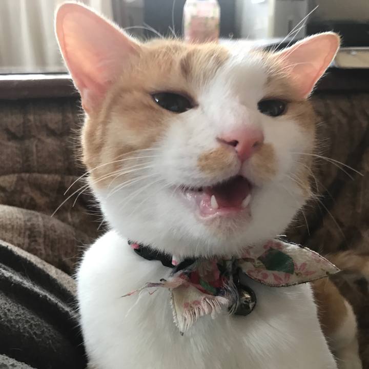 158cd55e 043c 4427 bb01 23dbf0e791e3