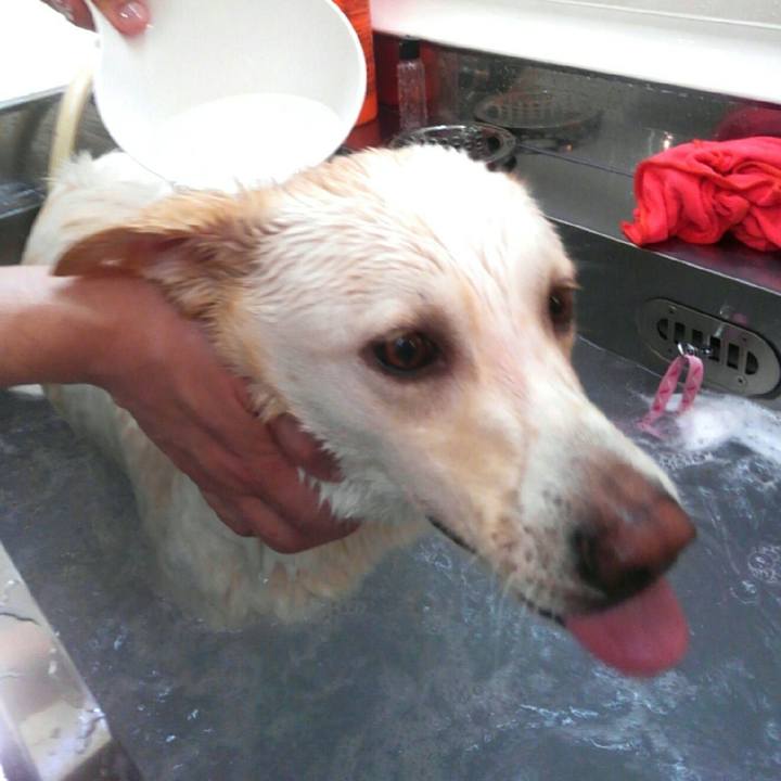 158d6da2 3803 4b69 b8f0 3886dc6de57b