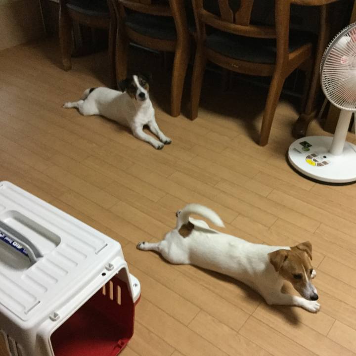 158e8787 408e 4f2a be7c ef39f59d1a6f