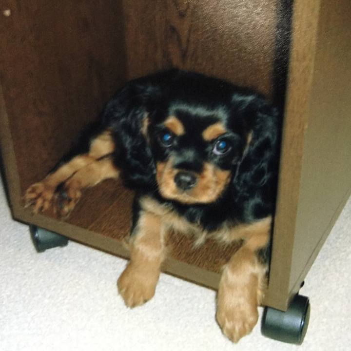 158e9ffc e68c 4f54 a3f9 137fc745ee51