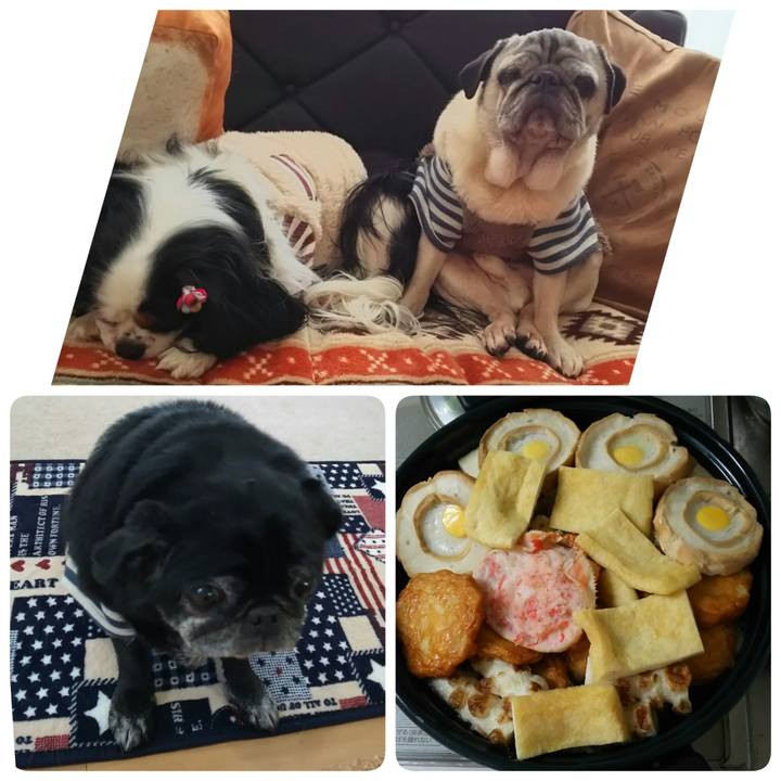 158ea214 e310 41d3 80a6 fc26bdbb2111