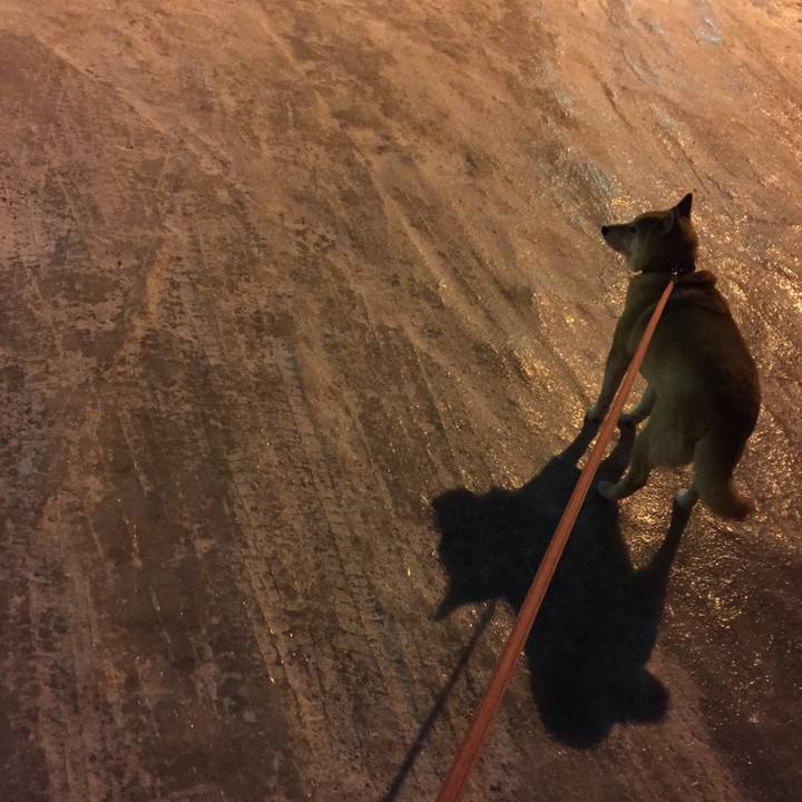 158f8a7d 577e 4be6 9787 a3261524bf6f