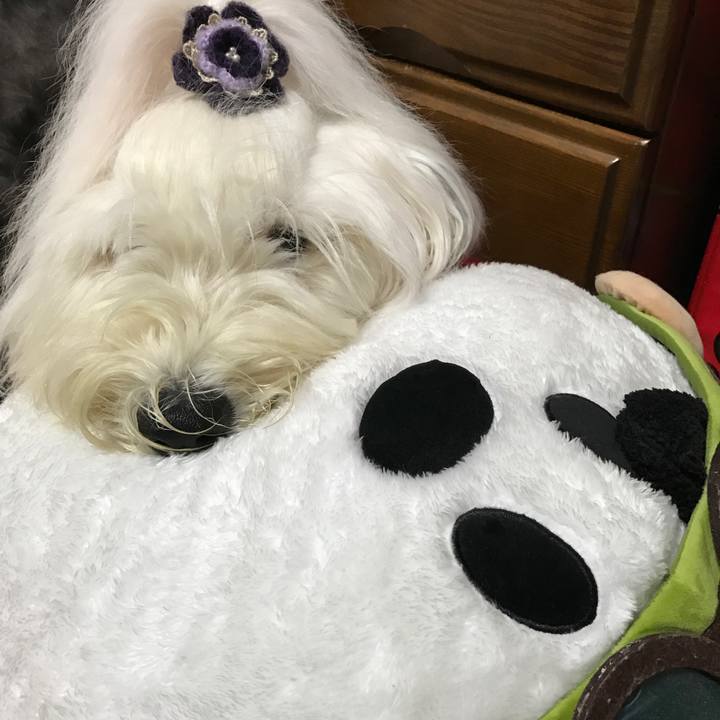 1590c368 0ad1 4c01 a4fe d1e1d7887a77