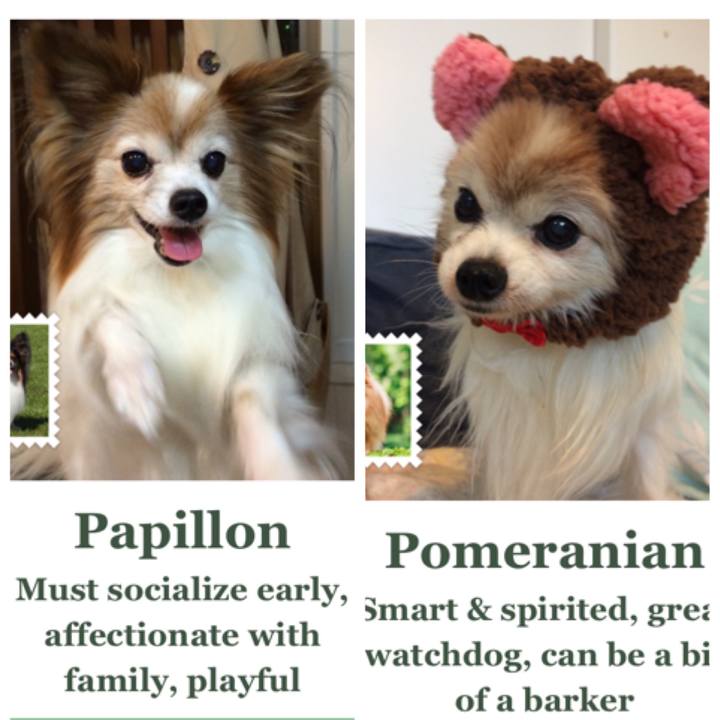 15918131 0b8b 479c 861d 5afe9314b55b