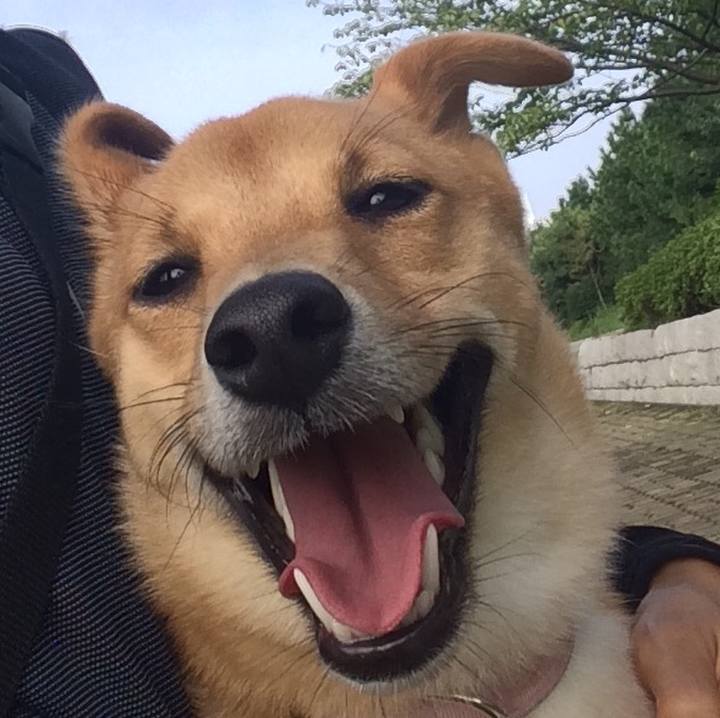 15919082 bb79 48ac ab5e f65cd47f1685