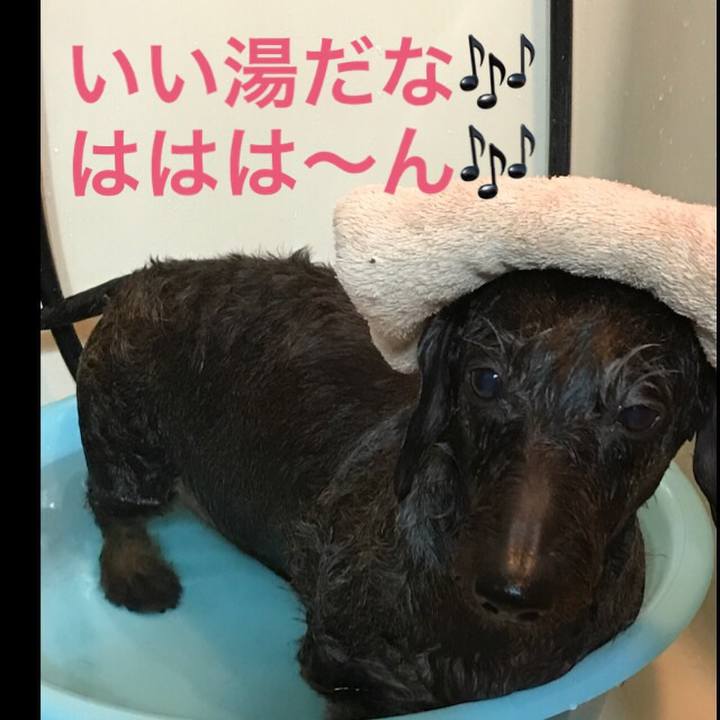 1591b7cf 5e16 4503 9bb2 fc25f7ffd70c