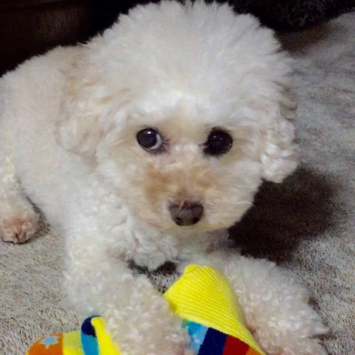 159232ae 6d74 44b8 b55b aaca9fcfe63a