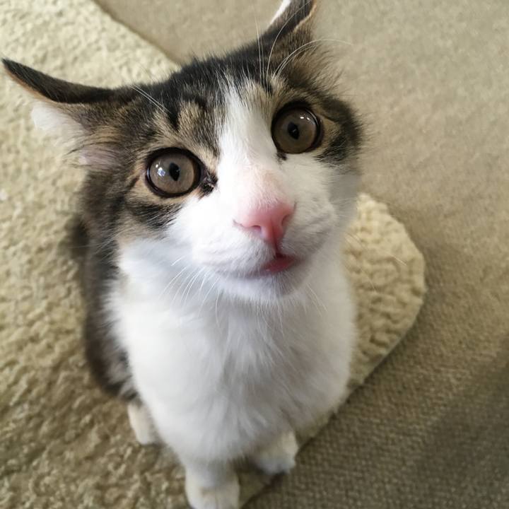 159263c6 a937 480d 8f79 7c44a38b2483