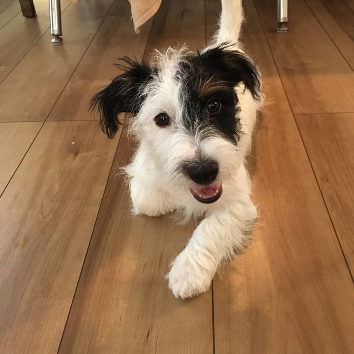 1592e61c a953 4888 a029 c19707c48d06