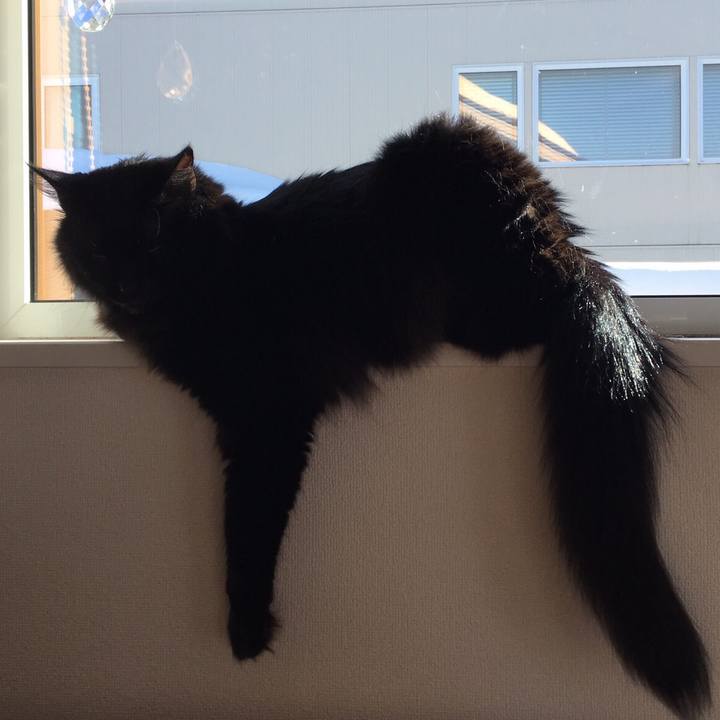 15934b2b 7293 40bd 852d 4c8bb65011ba