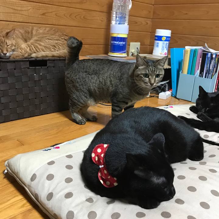 1593a02e 791b 4802 af21 a4c6b40339a3