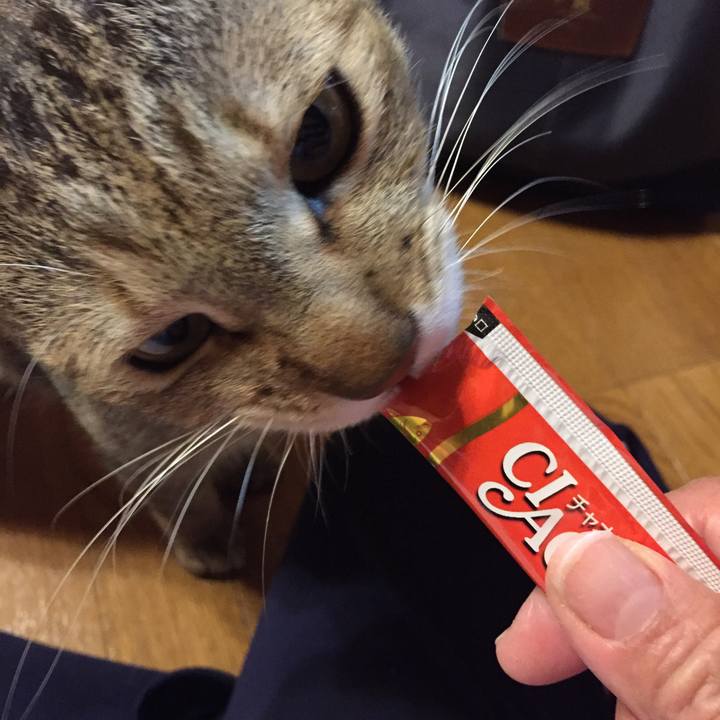 1593c59a 0ecf 4487 bfdb d2896c43afe2