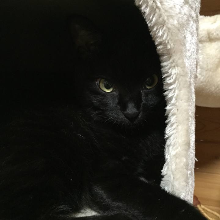 15948839 ae1b 4370 a8ee a41a6ee8d796