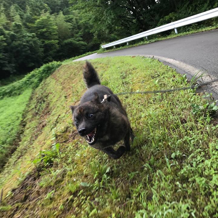 1594a1ff a6f6 4d2e b284 7818d5285b7b