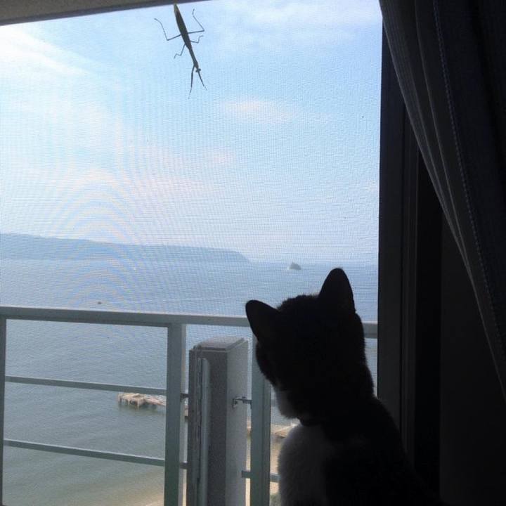 1594de98 e716 4e67 9700 7cc21ba5e082