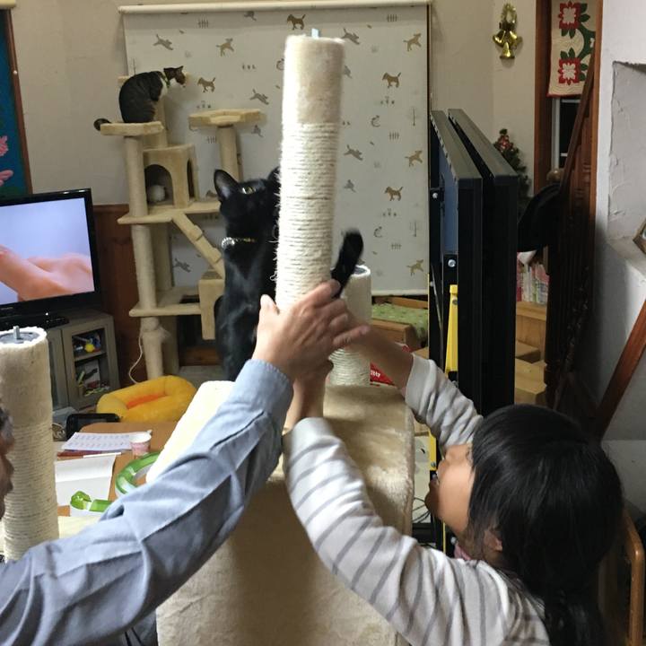 15950b47 c010 41b4 96cb 9ed22ac76fbf