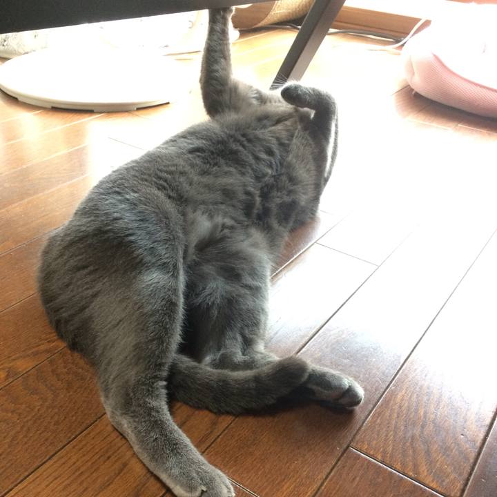 1595bda1 7cb3 4949 b21c 53d067edbb8c