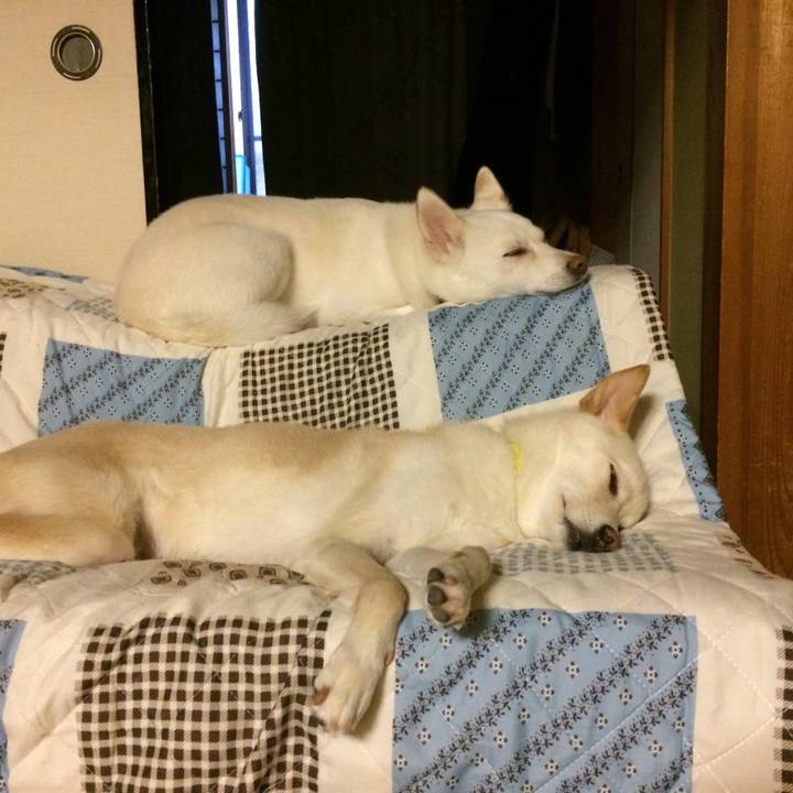 1596ec24 8623 4aab bb9d 9966ebfe22c4