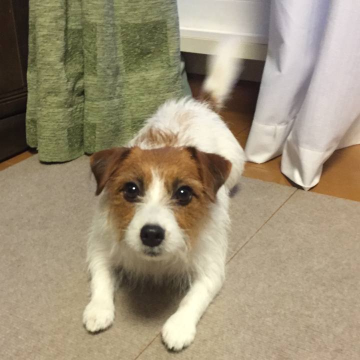 1597632e 0f29 4a8f b346 9781dcd443d8