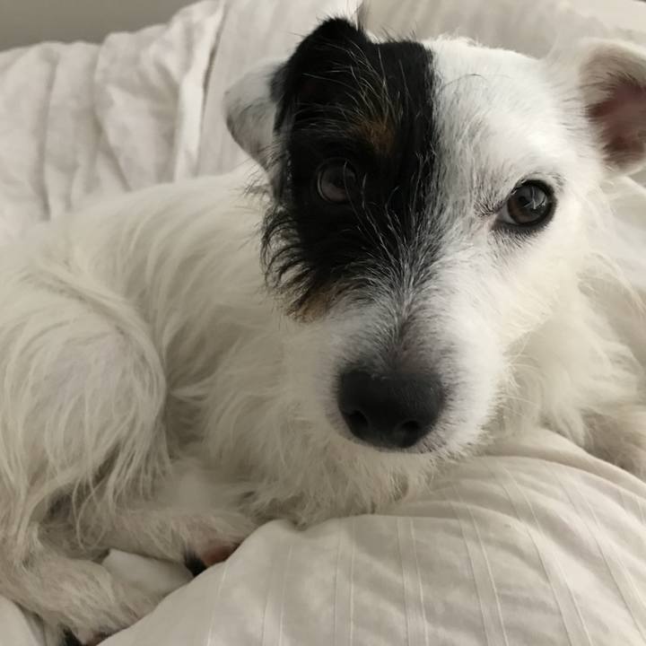 15982aaf d06b 4d78 9986 62a2573c9020