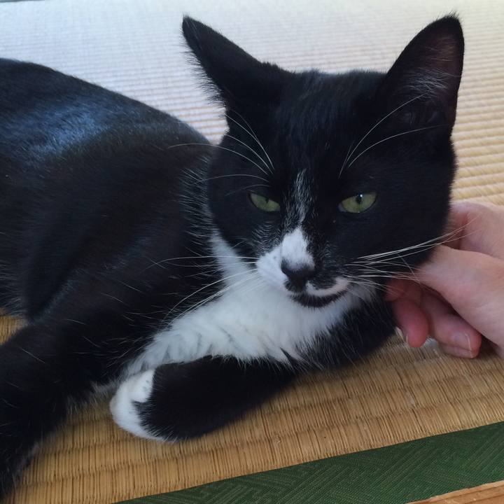 15987c5d 9564 4e8f 8783 acd6c2daed39