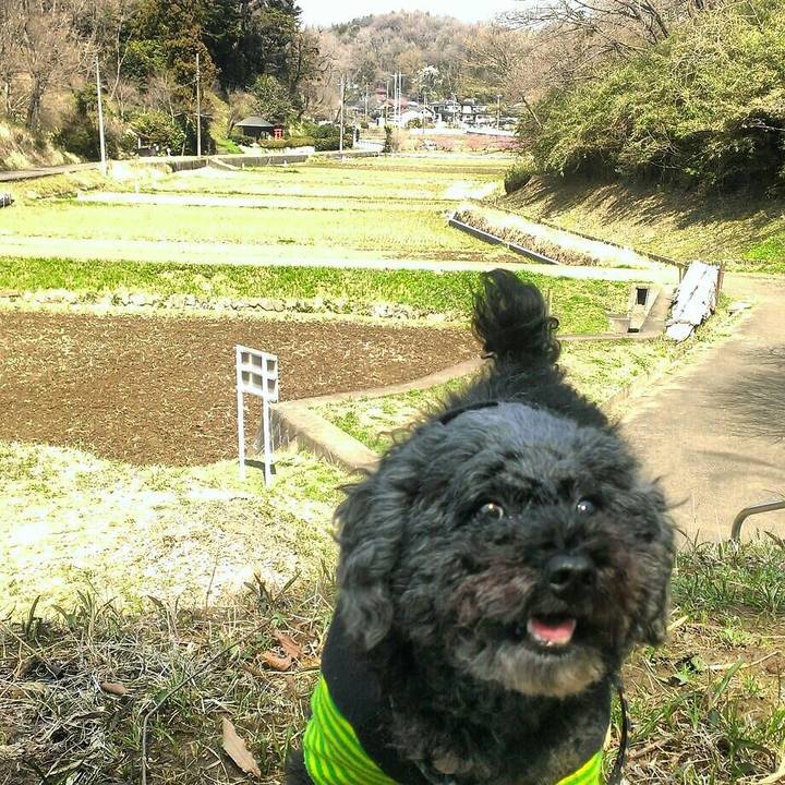 15990c6b f88e 44b9 8ebd 20a525fa1221