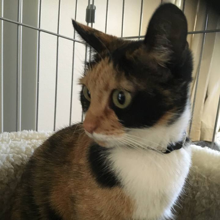 1599c872 a1e0 45f4 b224 2aad9547ef91