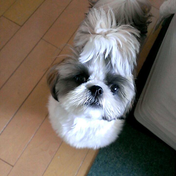 1599ec57 17fd 4e0e b51c 2da051bbbb8a