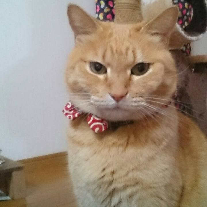 159a2e7d 7a4a 49b8 9a46 87a4146b4dea