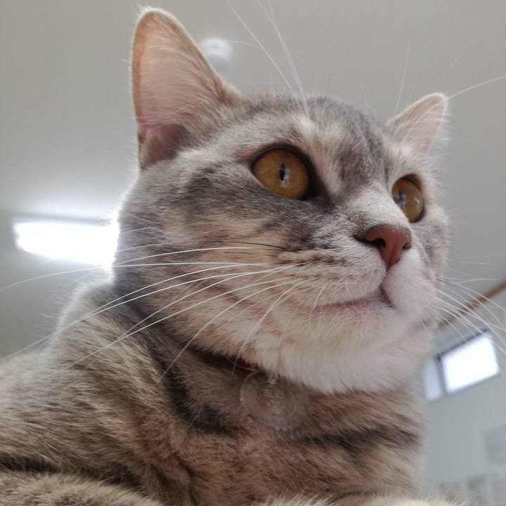 159a8fbb aa24 487f 9396 0ce87165dc26