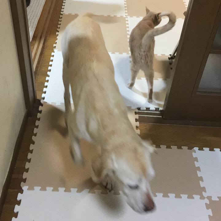 159b0835 a044 4eb5 9664 aae08c053c32