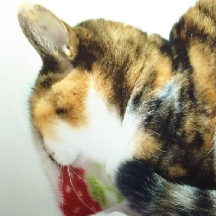 159b08f5 c35a 4953 a523 260a5037ed44