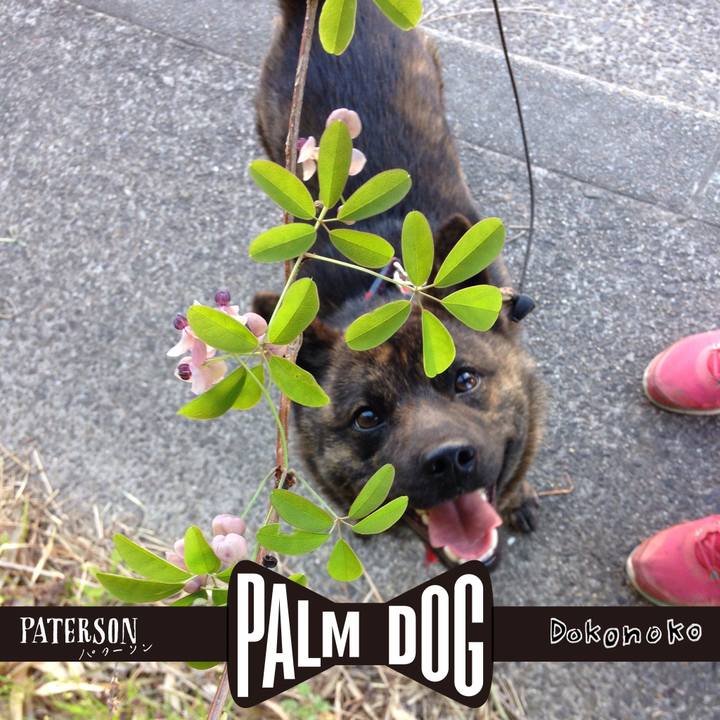 159b1499 115b 4458 9d3a c2bd73be4385