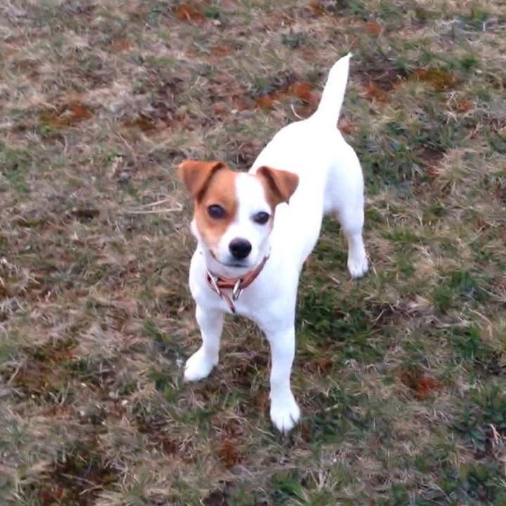 159bd612 3a80 423e af34 54619807ca76