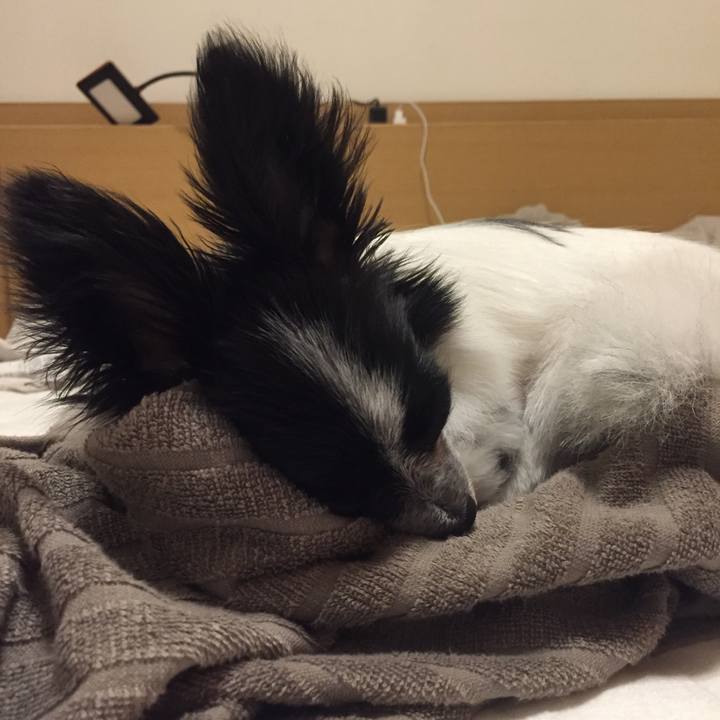 159c473c b3f9 4a95 a8fb b5bf0a8c8c0c