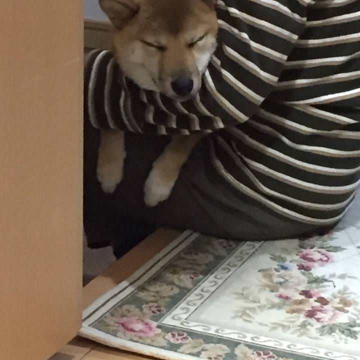 159c672b 8d77 4f6f a9ae 994f6c60e2c9