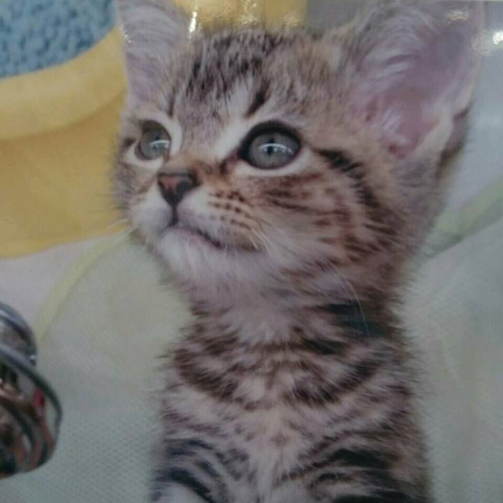 159c959e 2451 4185 9521 755967bb12bd