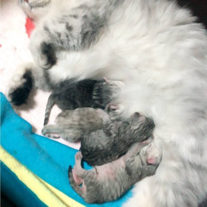 159ced69 c17b 431b 981d 434e670cdbbc