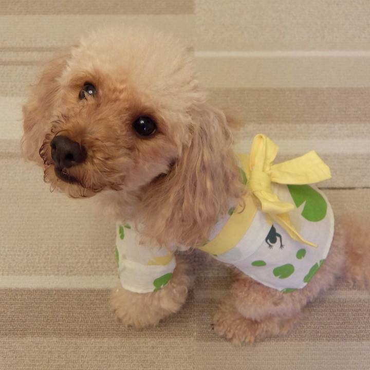 159d16f5 6b1e 40e0 987b 73c3f6544148